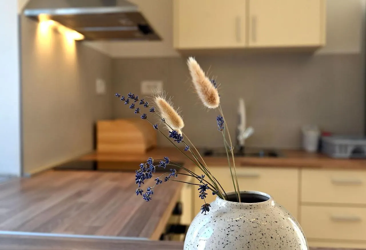 Vigo Apartment Rijeka